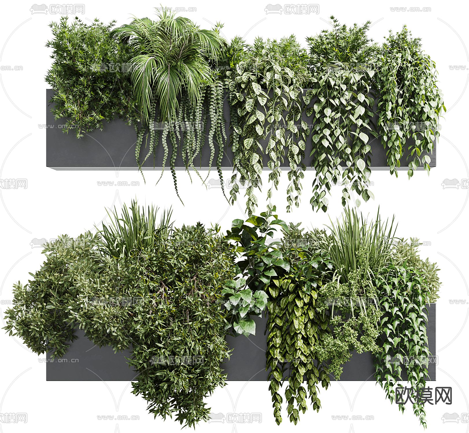 盆栽 花池 植物堆 花箱3d模型下载（渲染图1）