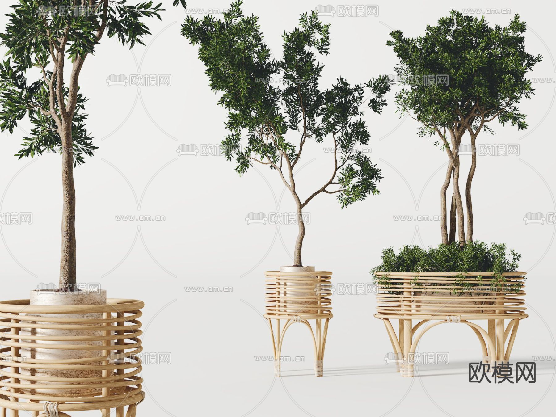 东南亚盆栽 盆景3d模型