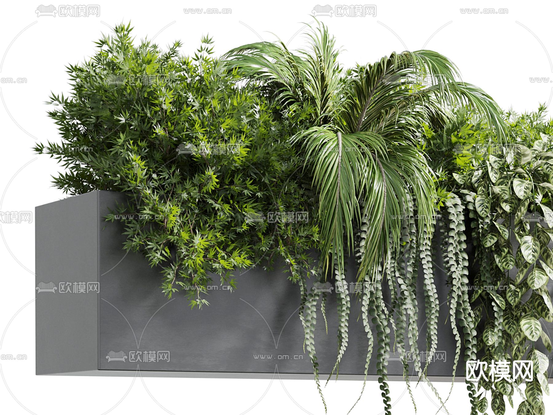 盆栽 花池 植物堆 花箱3d模型下载（渲染图2）