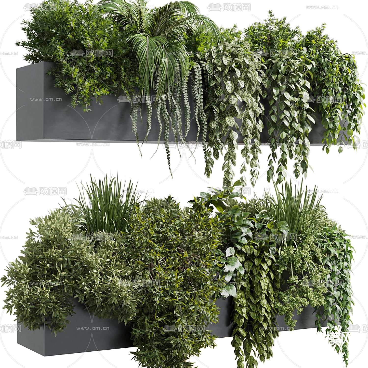 盆栽 花池 植物堆 花箱3d模型下载（渲染图4）