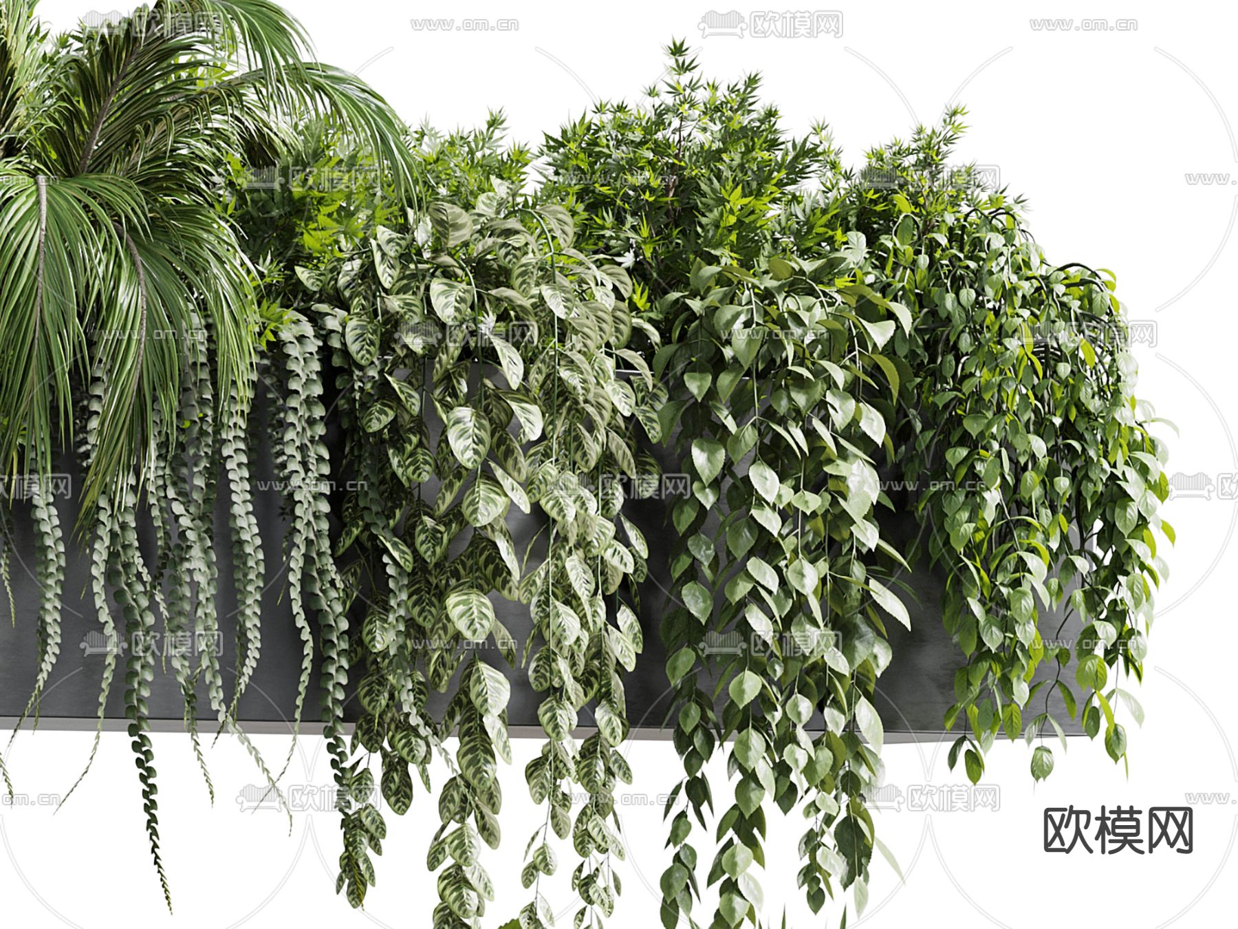 盆栽 花池 植物堆 花箱3d模型下载（渲染图3）