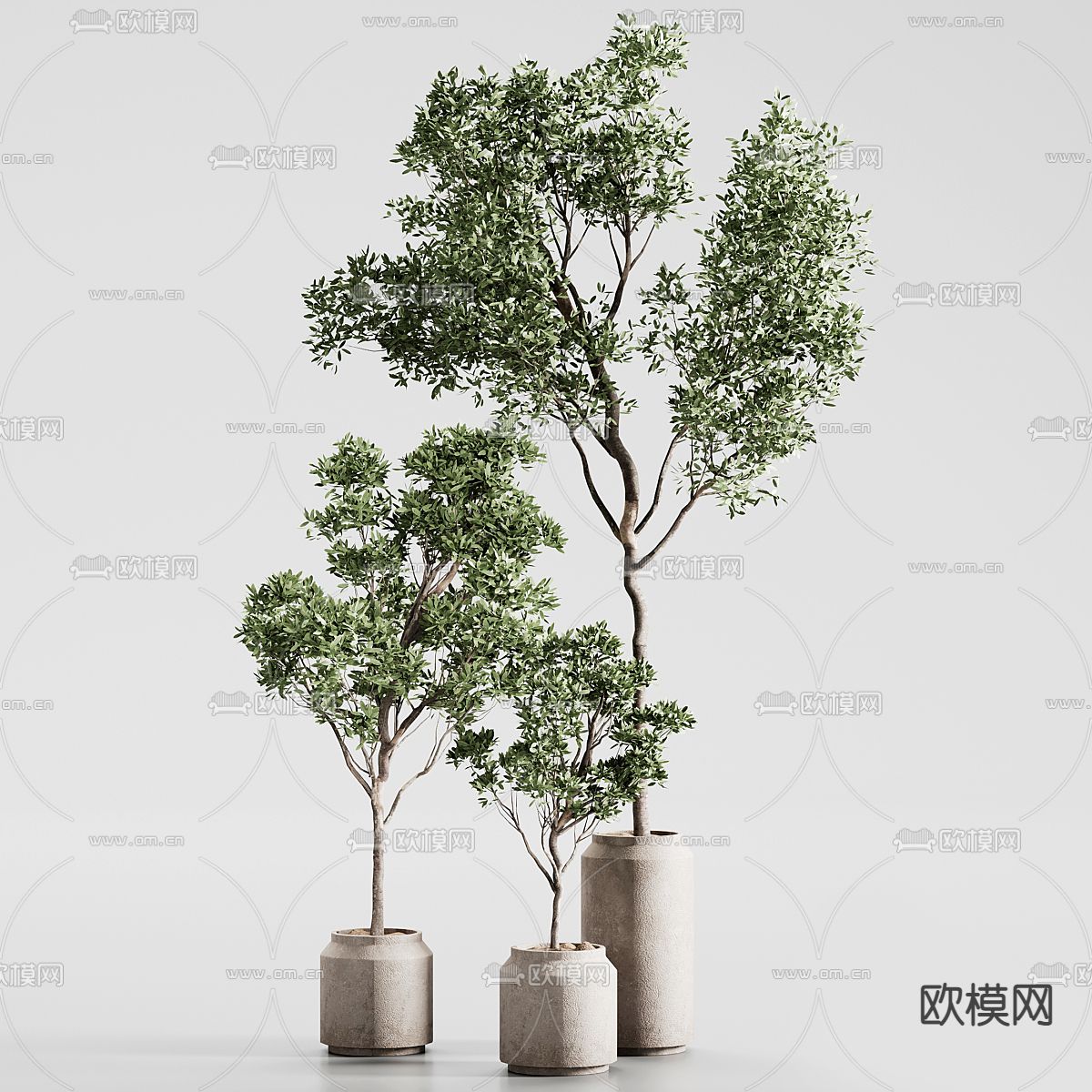 盆栽 盆景3d模型下载（渲染图3）