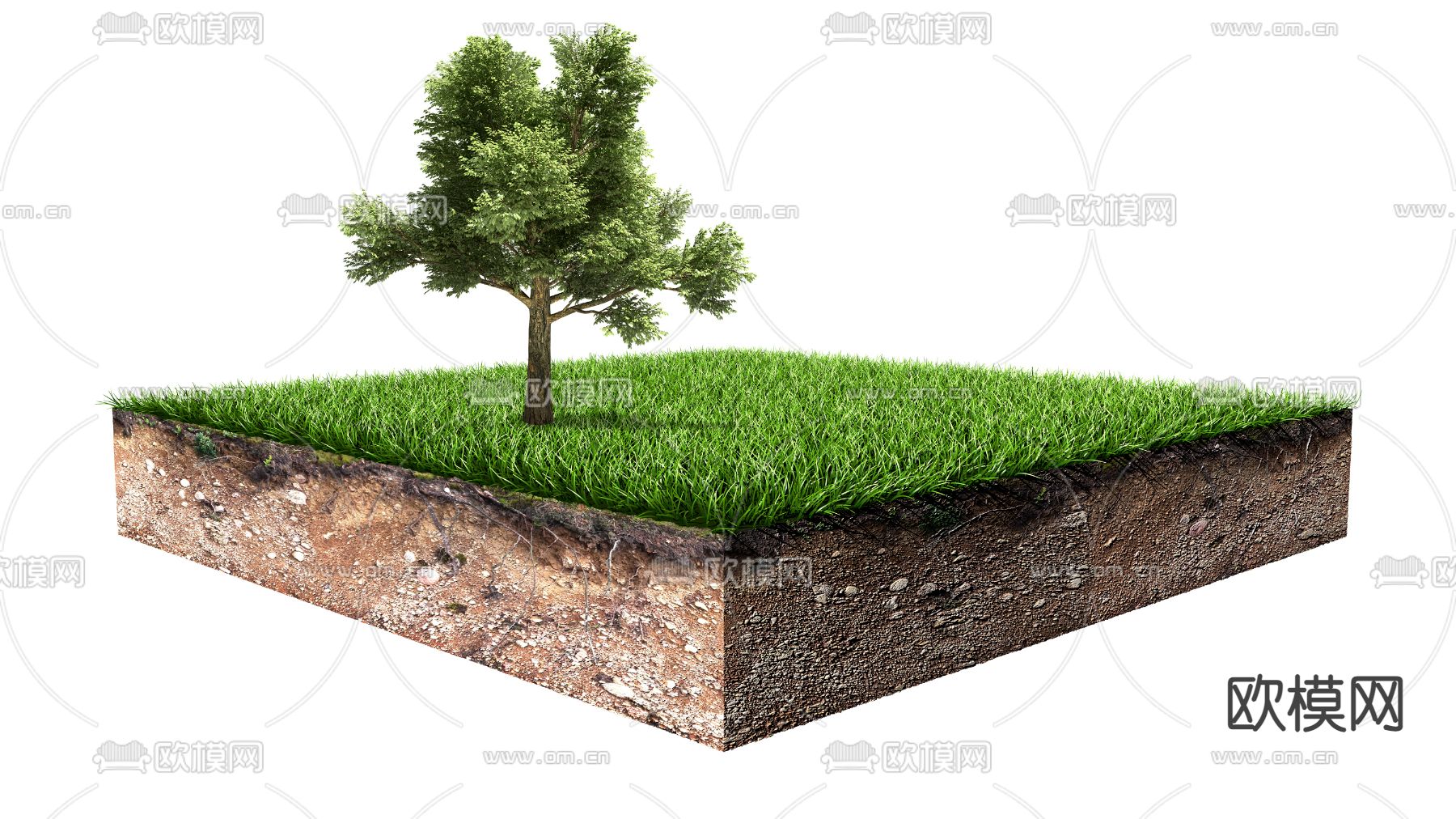 蛋糕草地psd下载