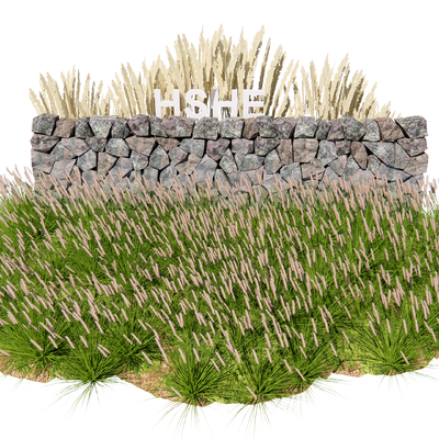  现代花草 芦苇su模型 