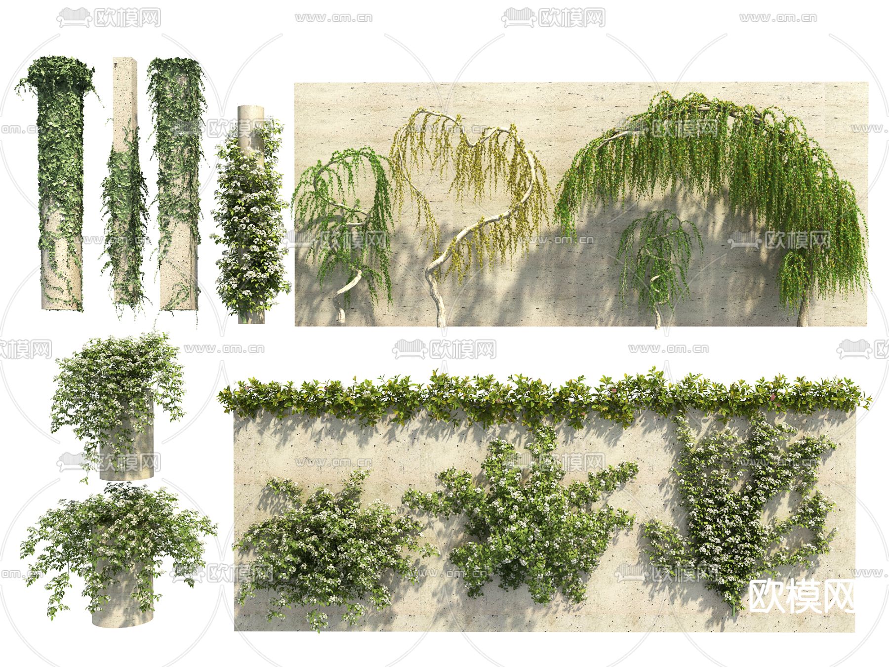 绿植藤曼 爬山虎3d模型下载