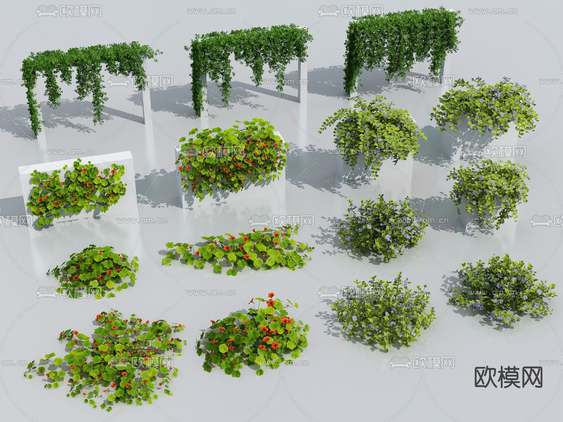 花草 藤蔓3d模型下载