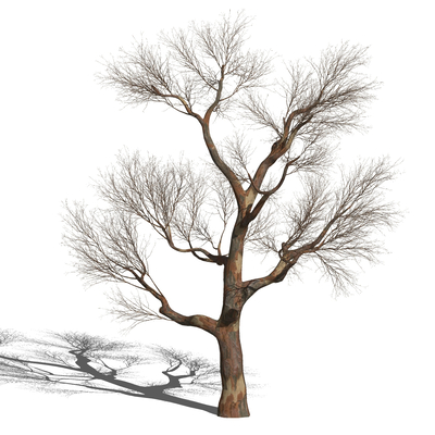  枯树 树干su模型 