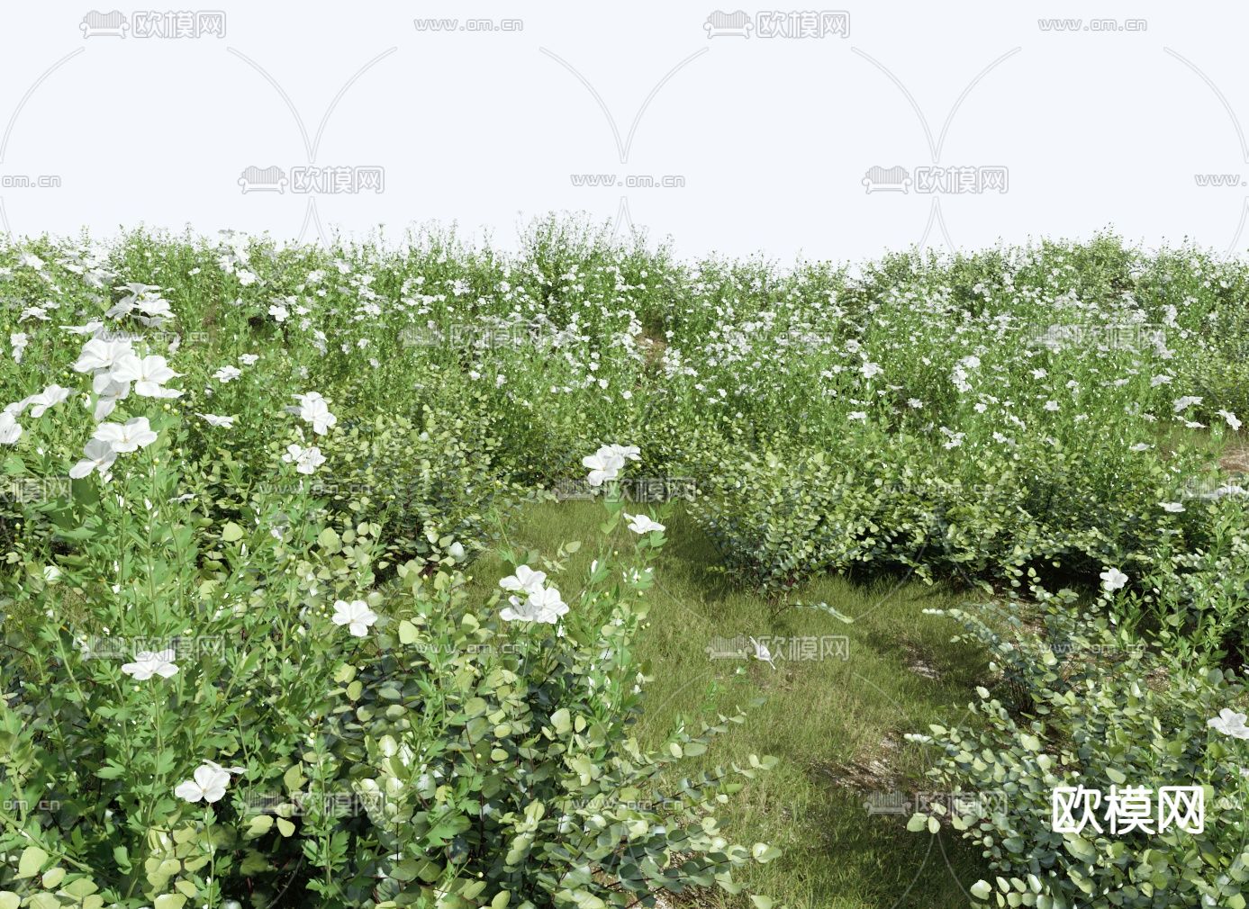 草地 草丛 植物堆3d模型下载