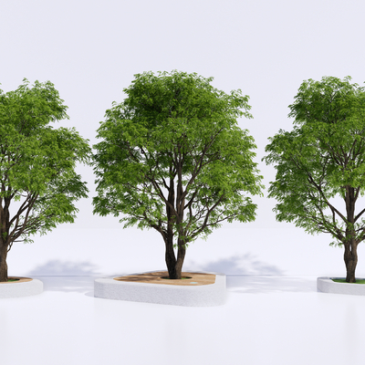  现代景观树 槐树su模型 