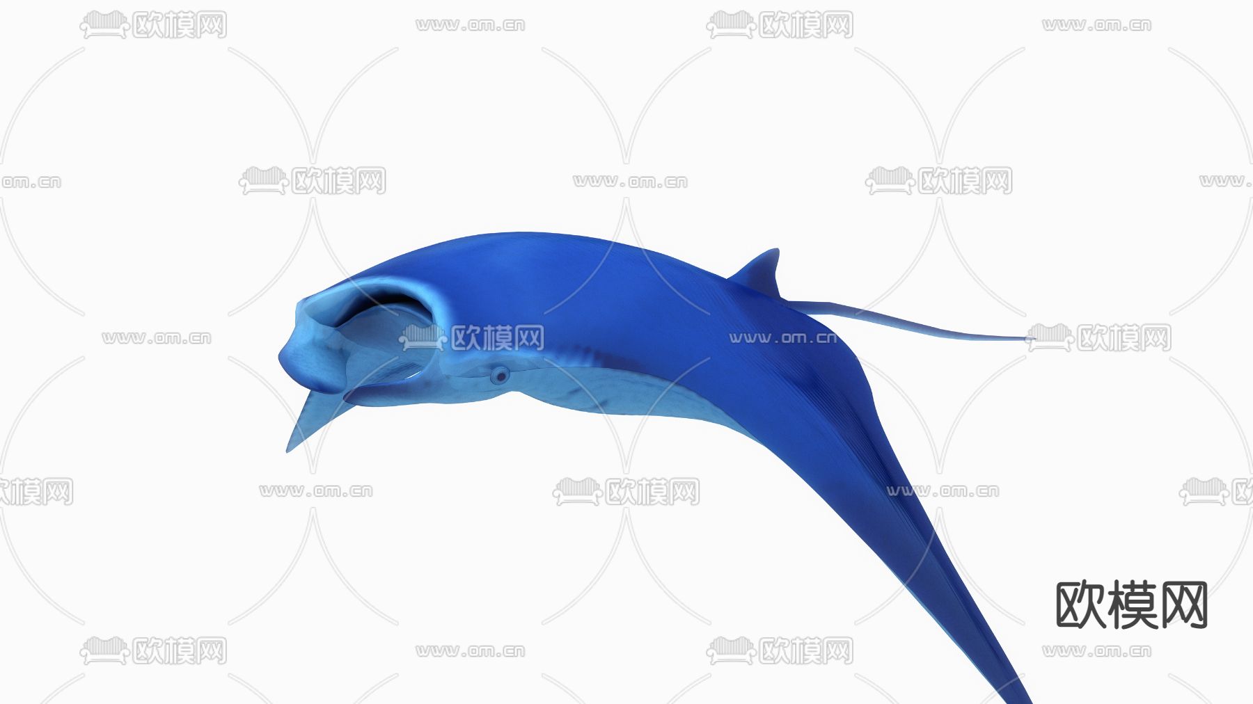 现代魔鬼鱼 毯魟 蝠鲼3d模型下载（渲染图5）