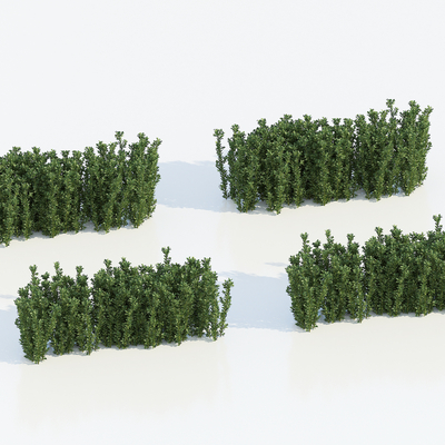  绿篱 灌木su模型 