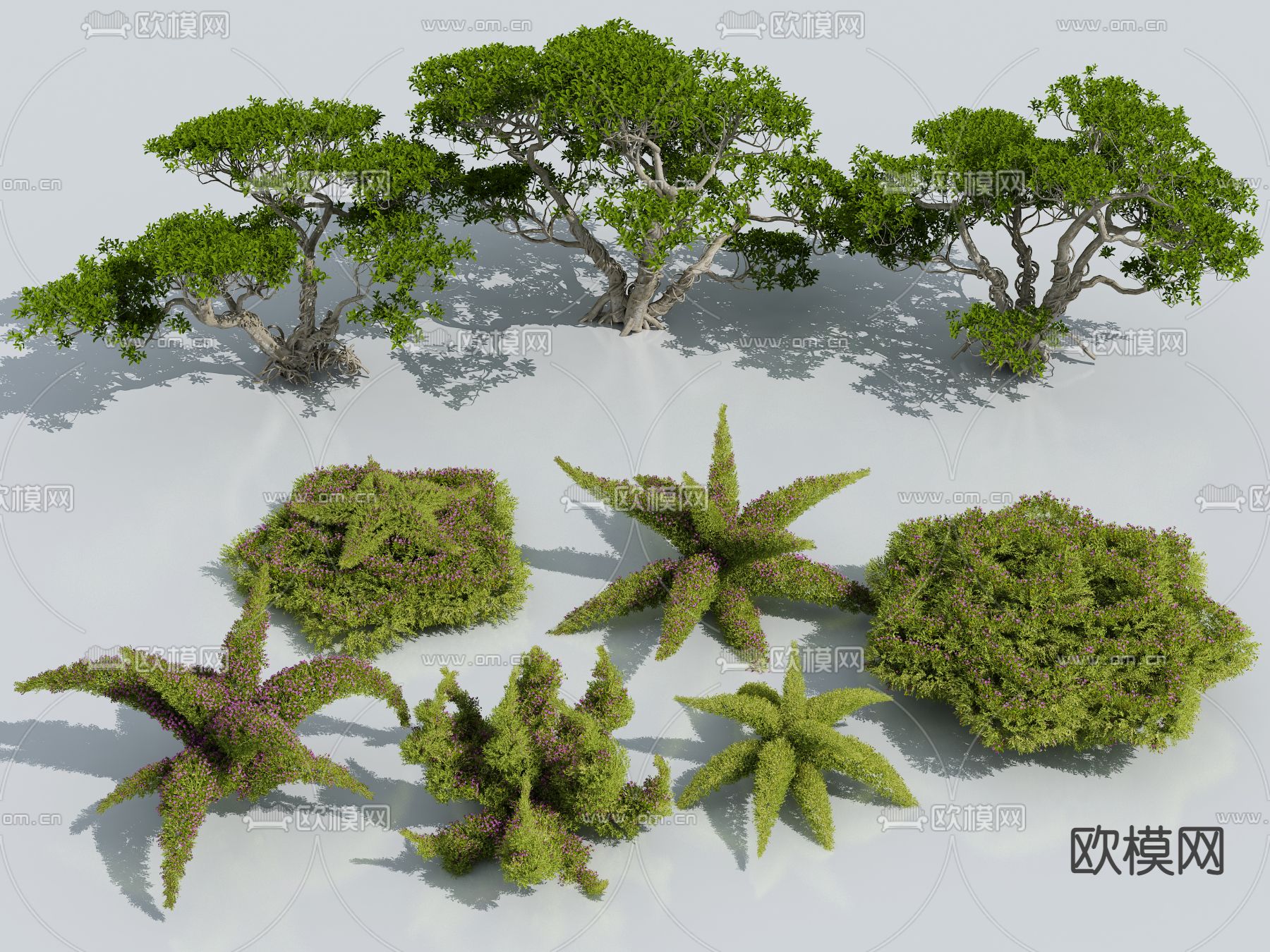 松树 造型灌木 绿篱丛3d模型下载_ID14015498_3dmax免费模型-欧模网