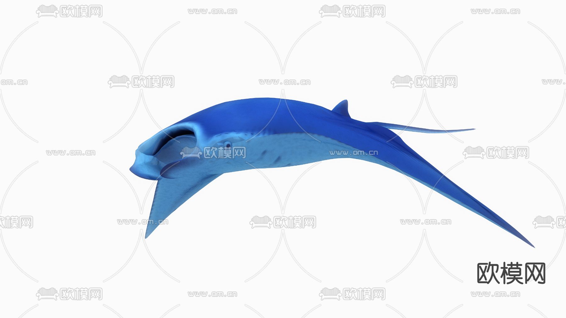 现代魔鬼鱼 毯魟 蝠鲼3d模型下载（渲染图3）