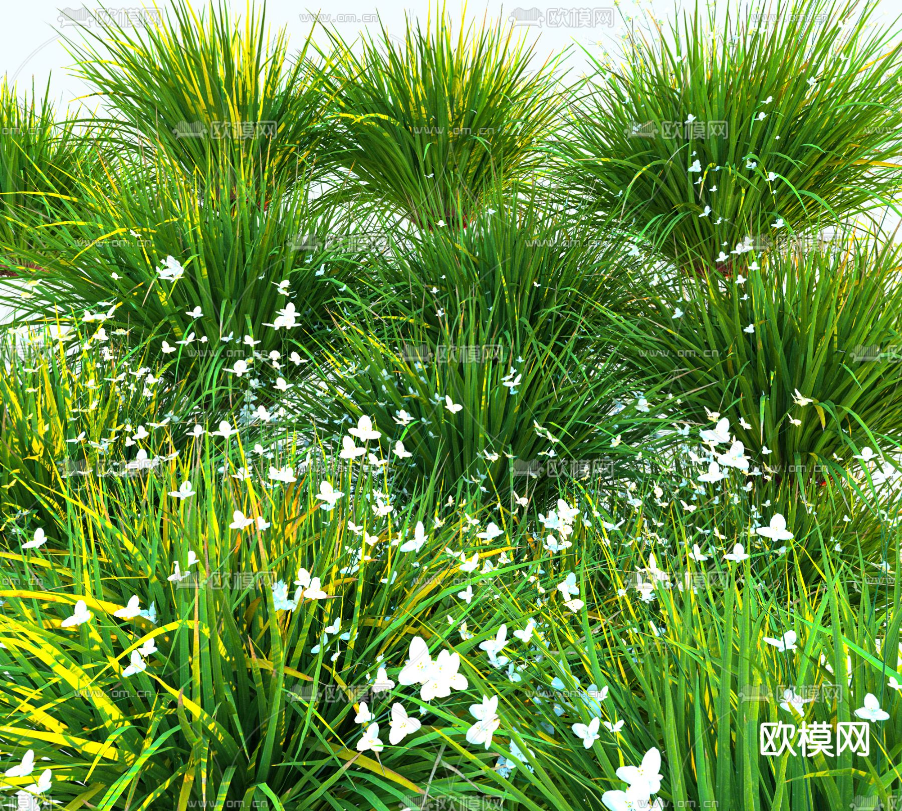 景观草 野花 野草3d模型下载