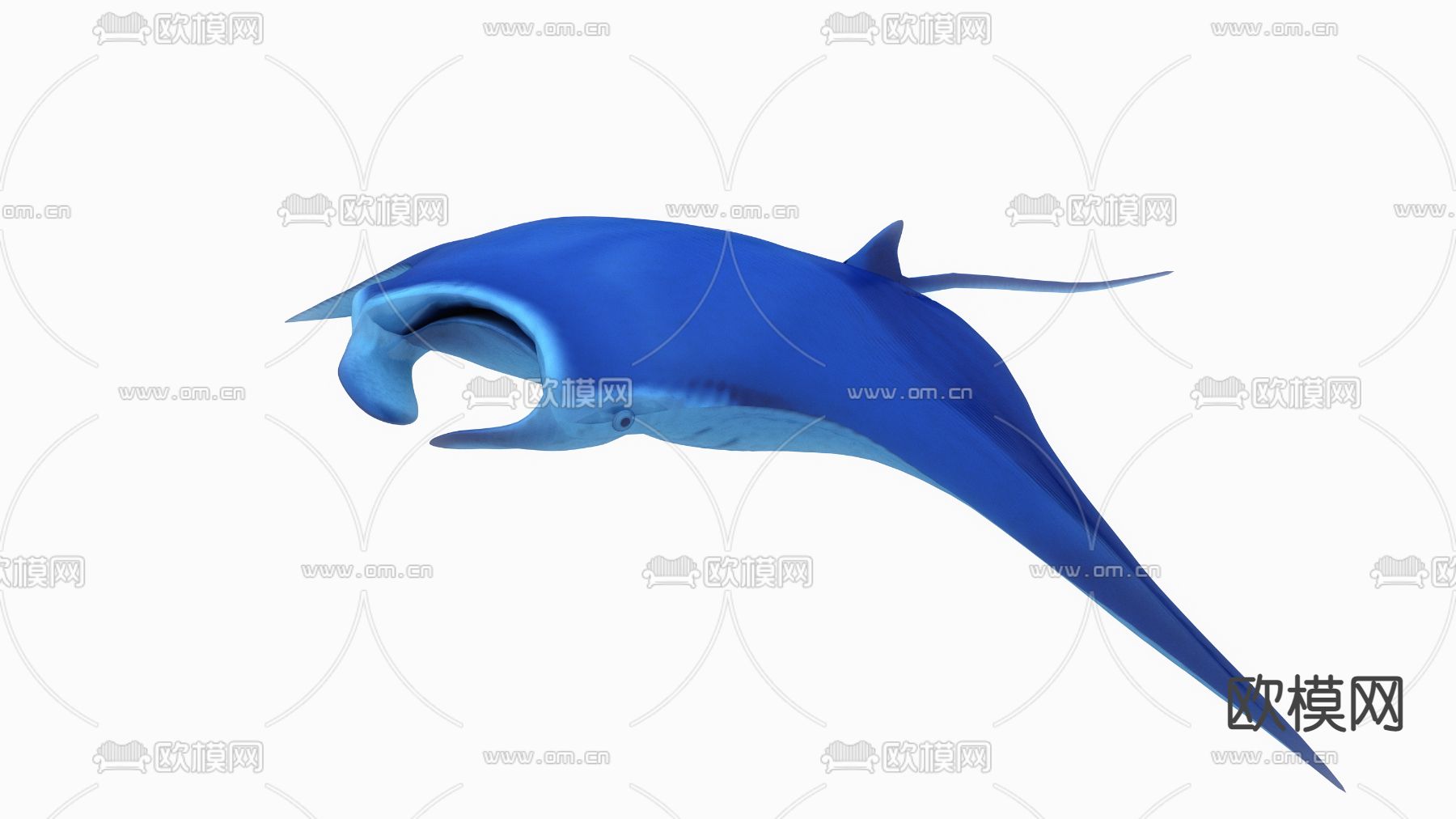 现代魔鬼鱼 毯魟 蝠鲼3d模型下载（渲染图4）
