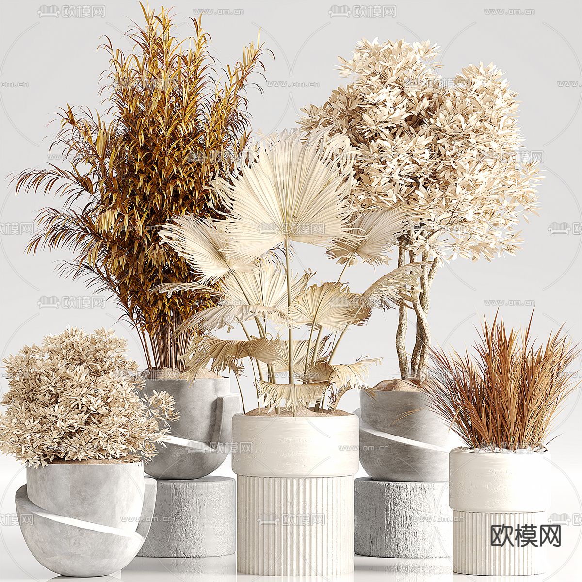 盆栽 盆景 干支 枯枝 干花3d模型下载_ID14015106_3dmax免费模型-欧模网