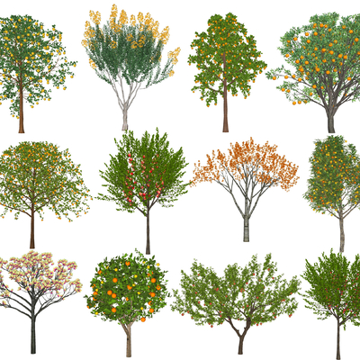  果树 苹果树 橘子树su模型 