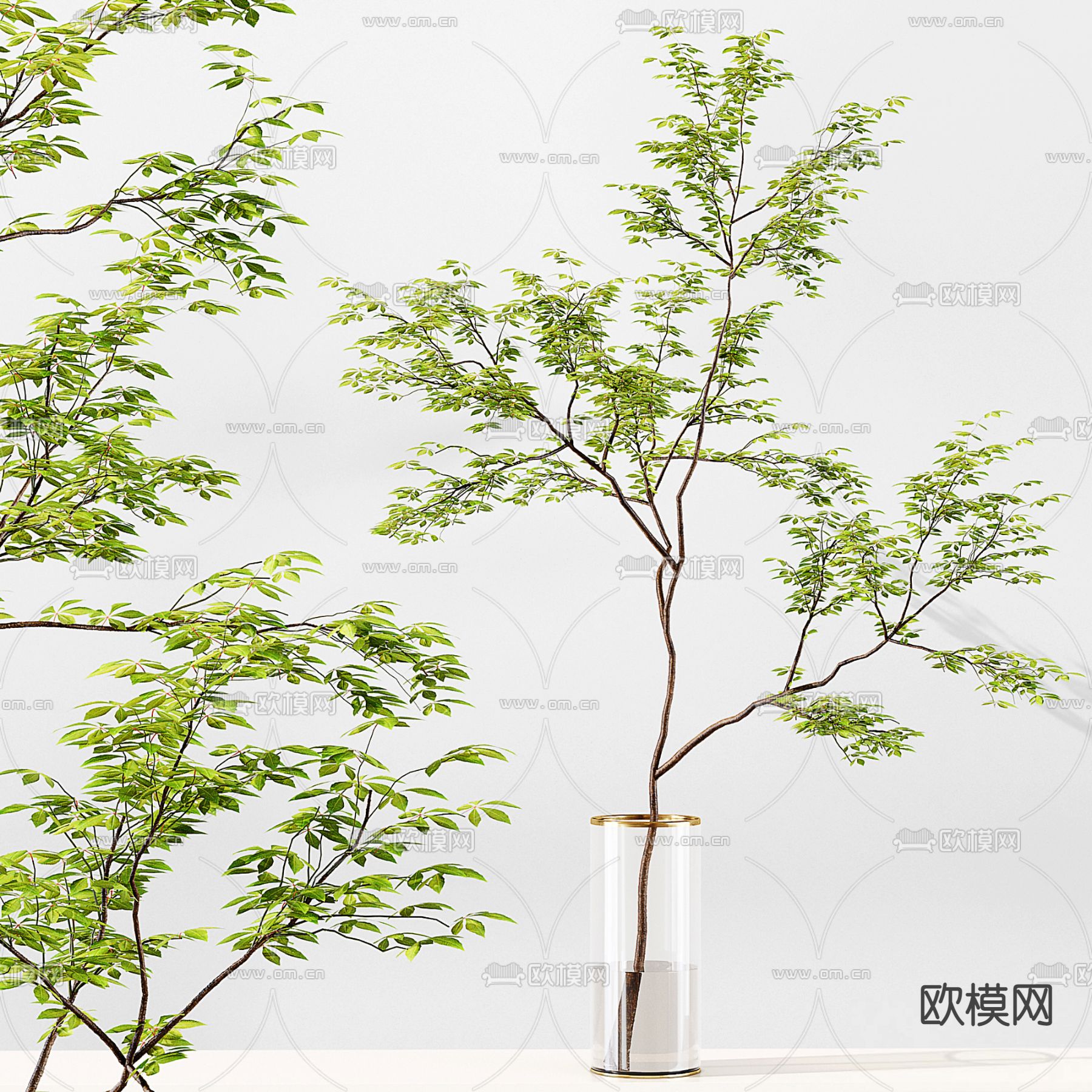 水生植物 水培绿植3d模型下载