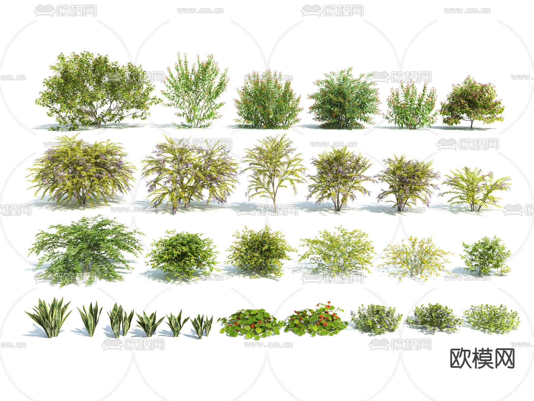 灌木 乔木 绿植3d模型下载