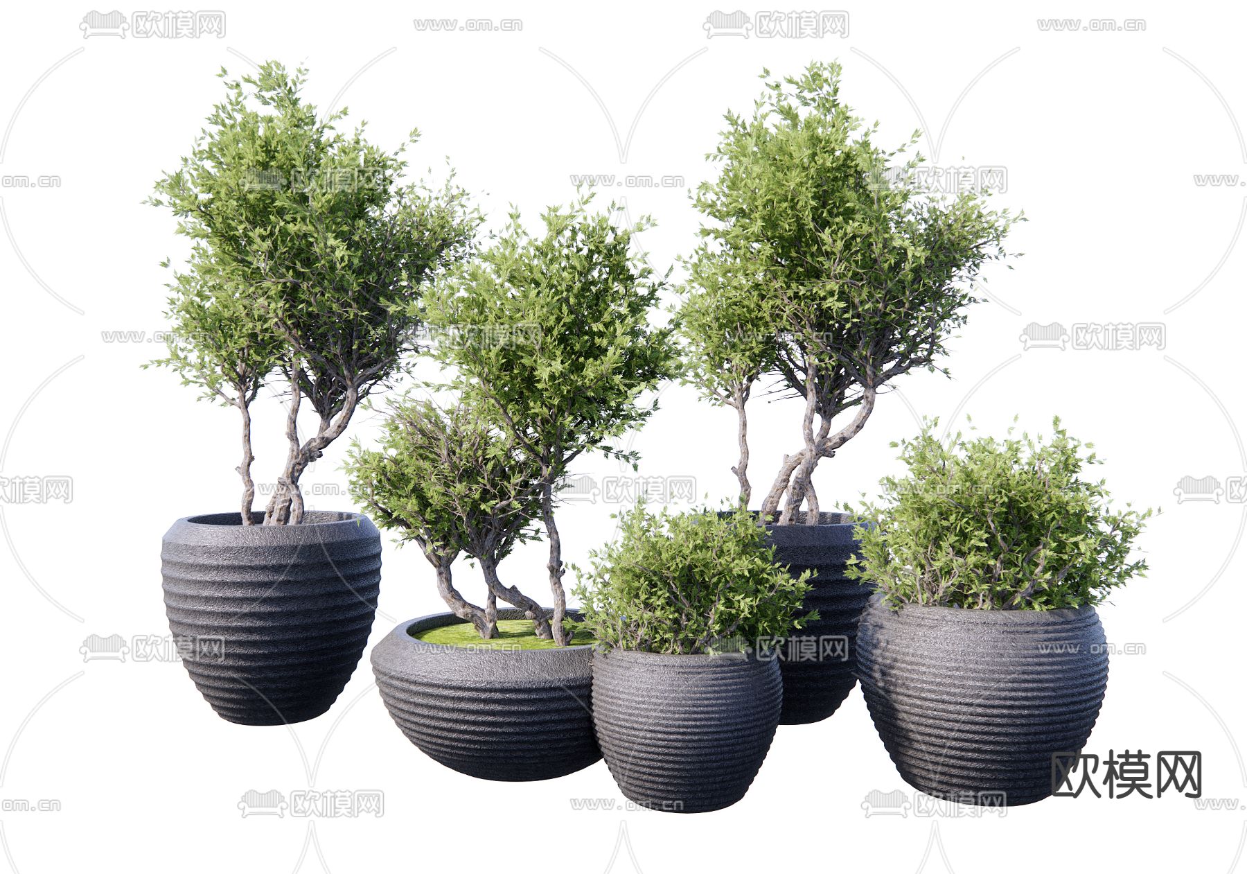 盆栽 盆景3d模型下载_ID14015861_3dmax免费模型-欧模网