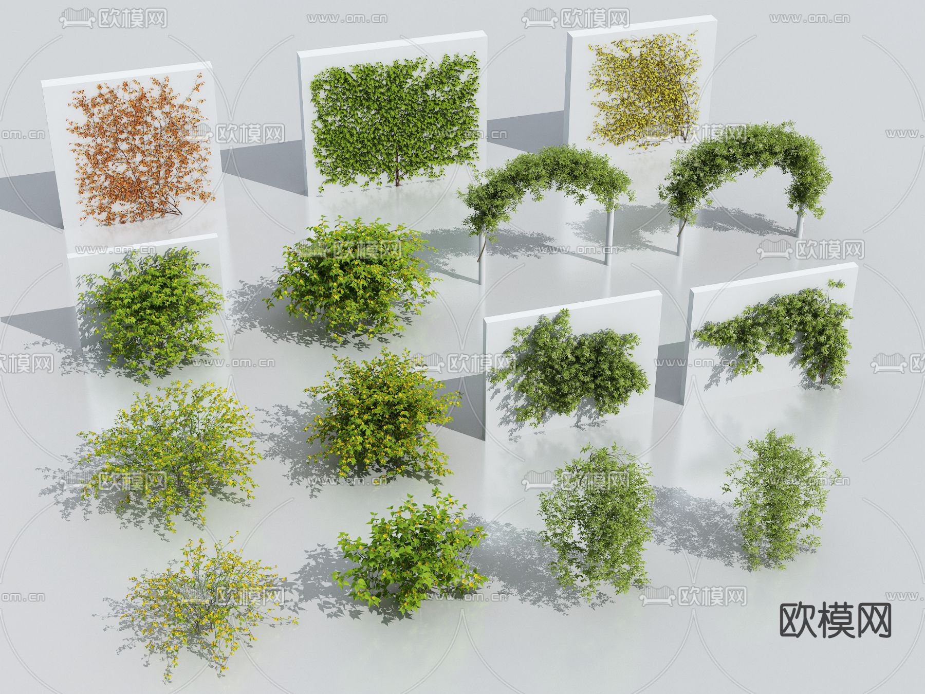 藤蔓 灌木su模型下载（渲染图1）