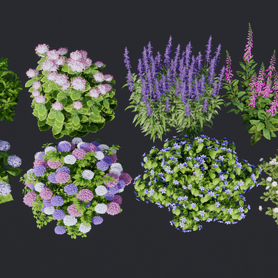  现代花草 花卉su模型 