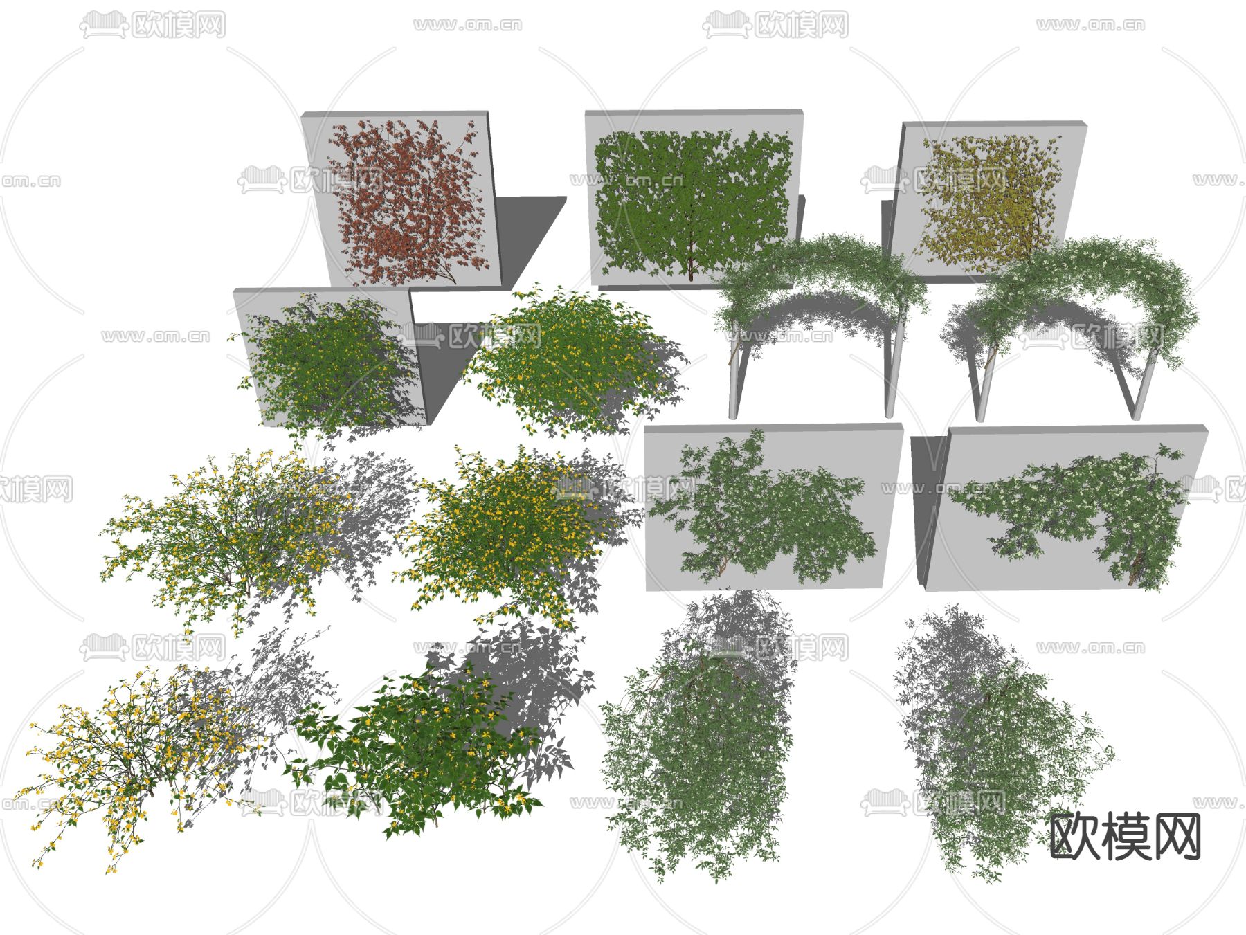 藤蔓 灌木su模型下载（渲染图2）
