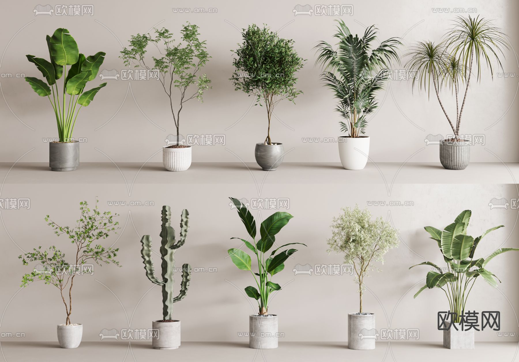 盆栽 盆景3d模型下载