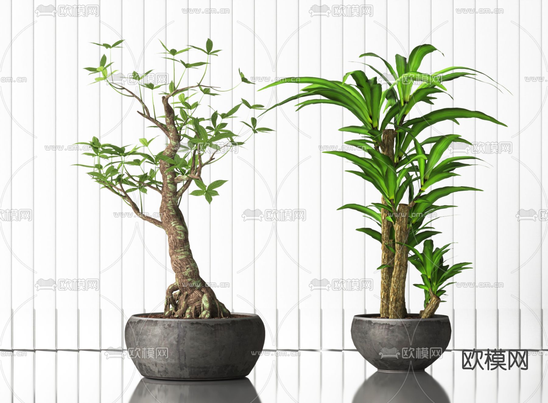 盆栽 盆景3d模型下载