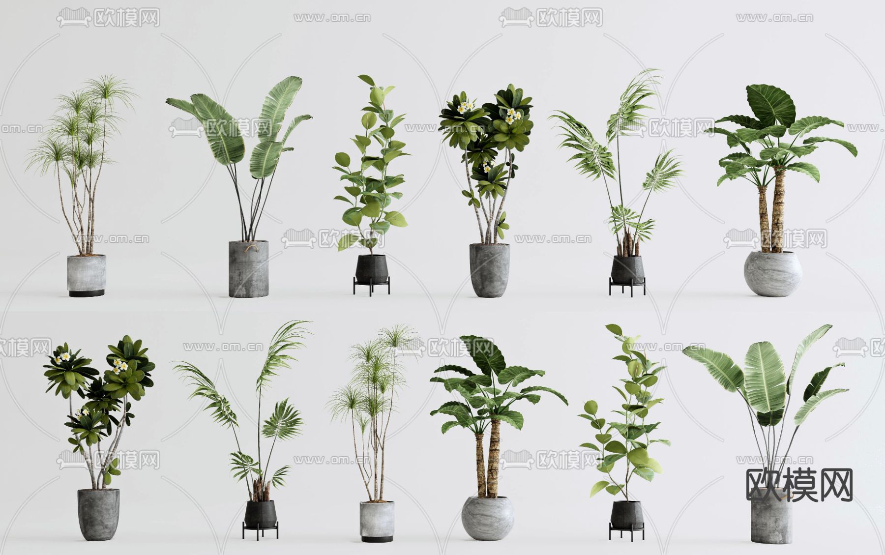 绿植盆栽su模型下载（渲染图1）