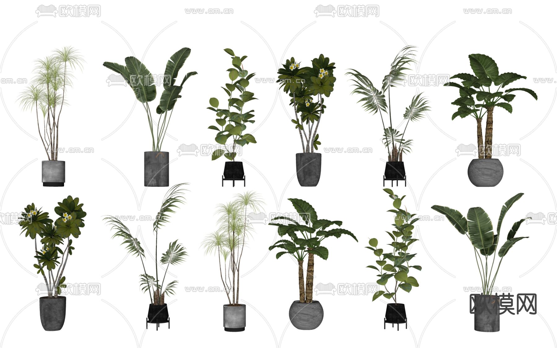 绿植盆栽su模型下载（渲染图2）