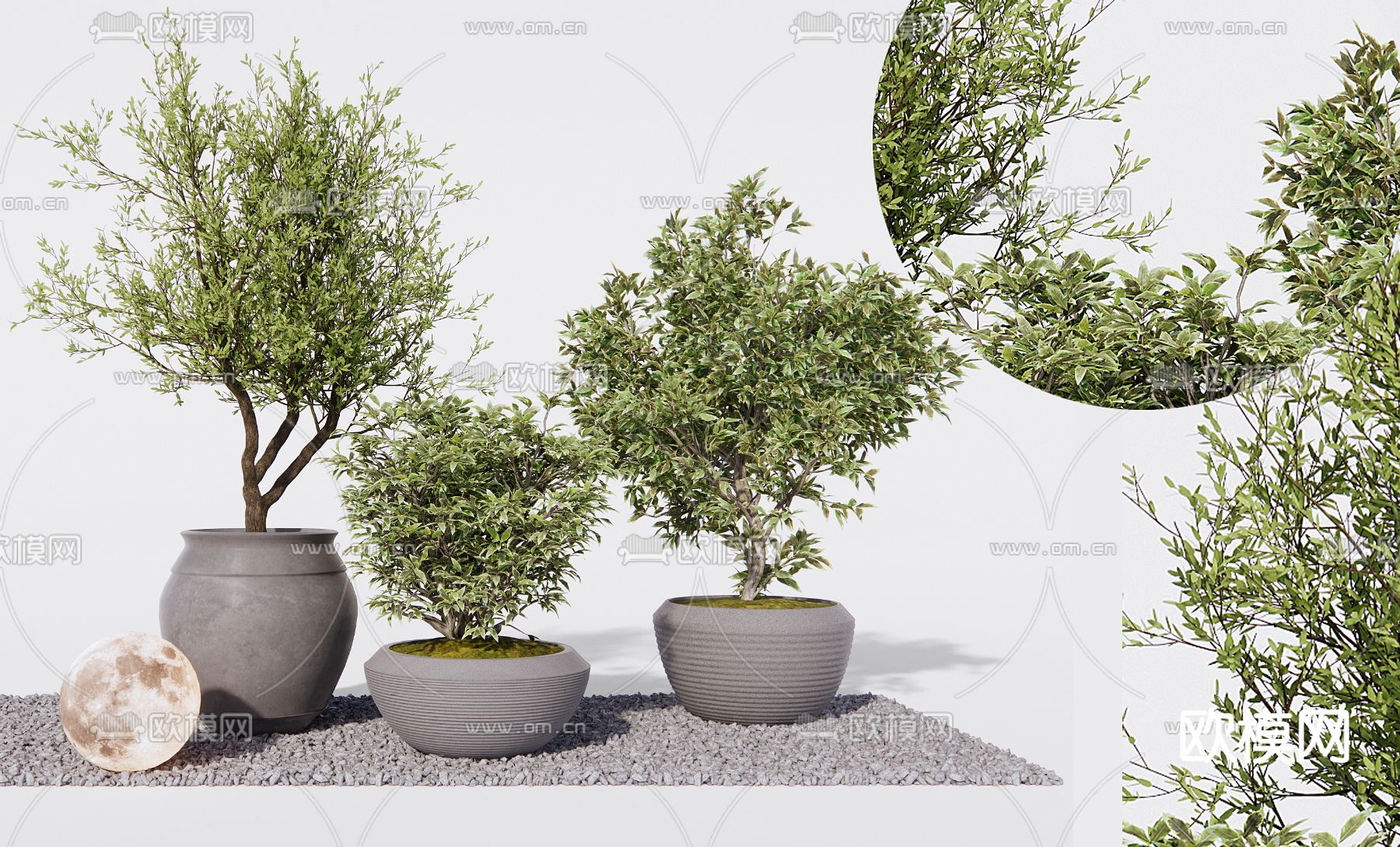 盆栽 盆景3d模型下载