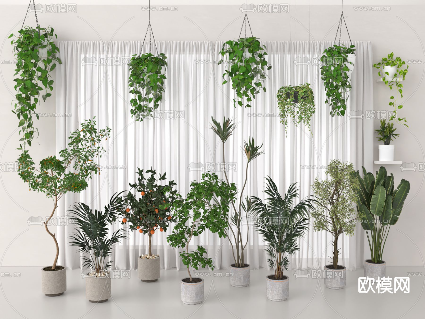 景观盆栽  绿植3d模型下载