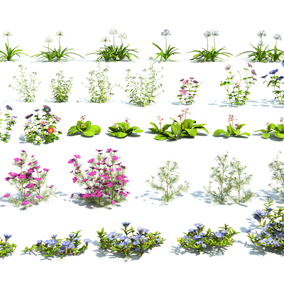  现代花卉su模型 