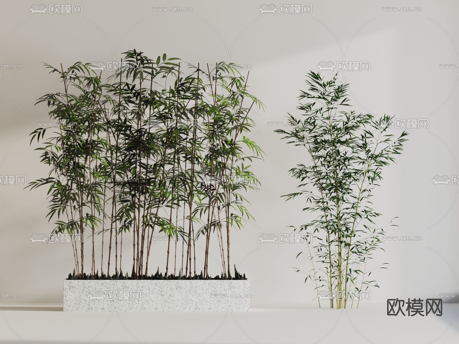 竹子 盆栽 盆景3d模型下载