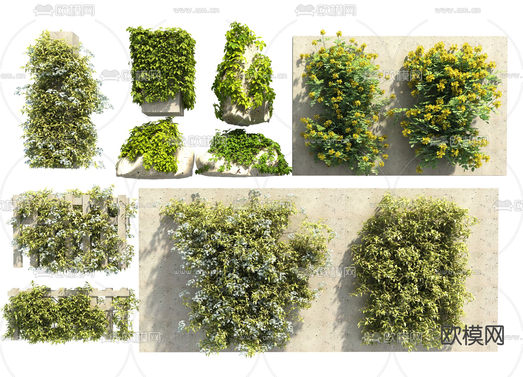 藤蔓 花草3d模型下载