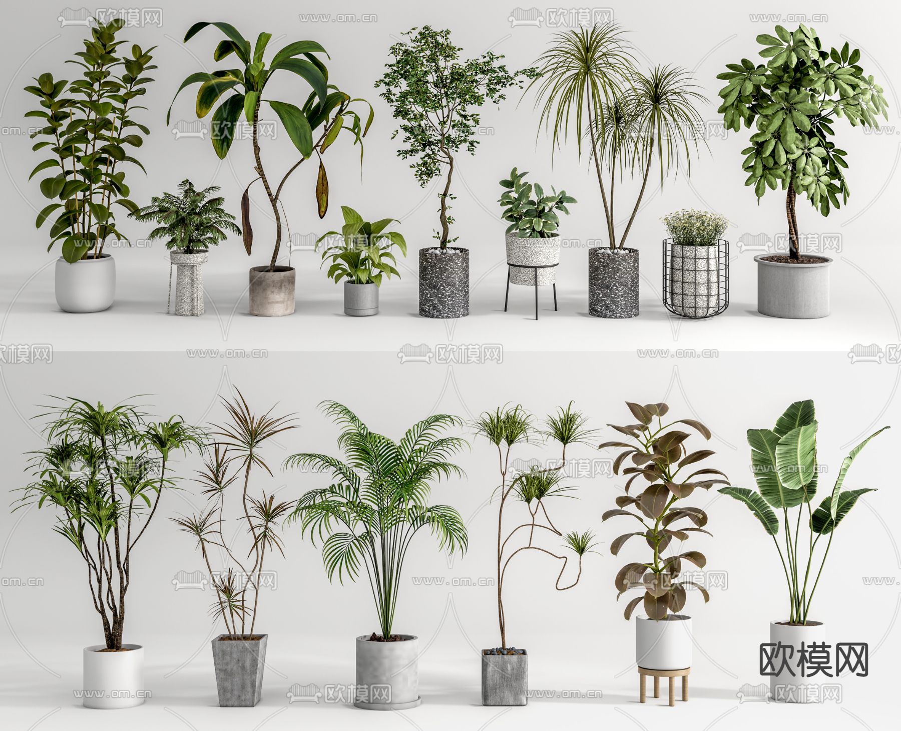 盆栽 盆景3d模型下载