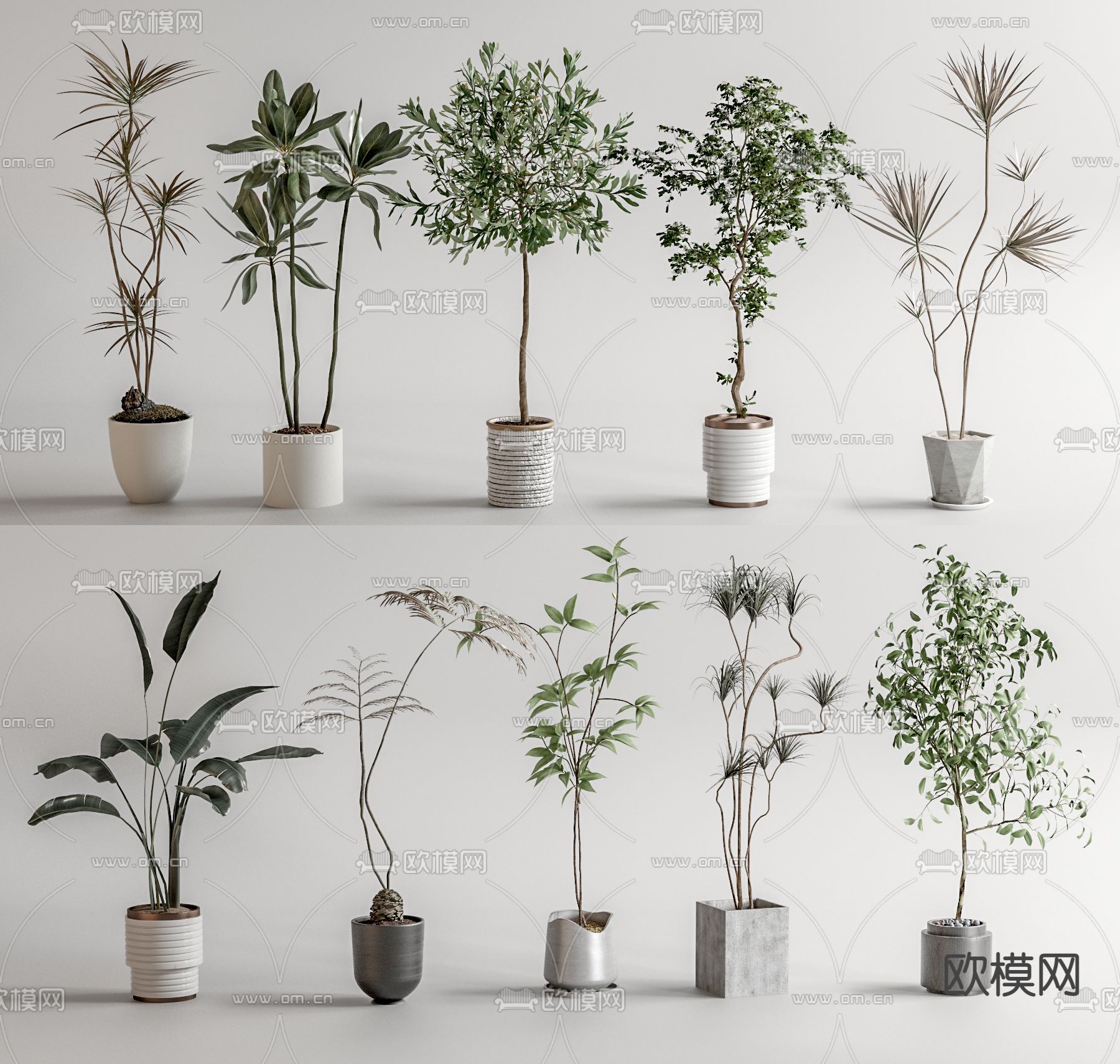 盆栽 盆景3d模型下载