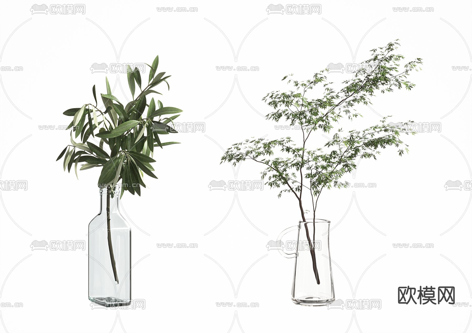 水生植物3d模型下载