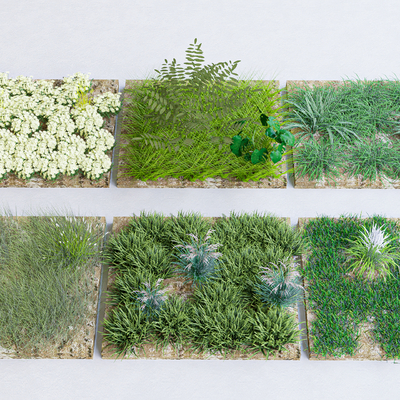  花草 草地 草坪su模型 