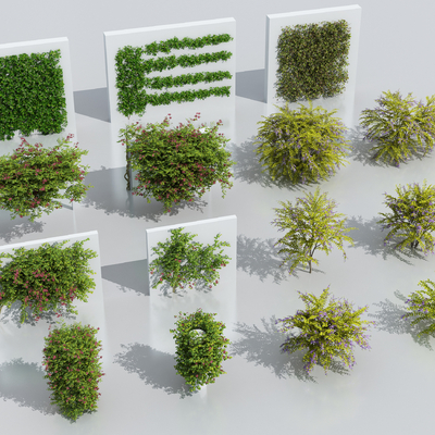  藤蔓 灌木su模型 