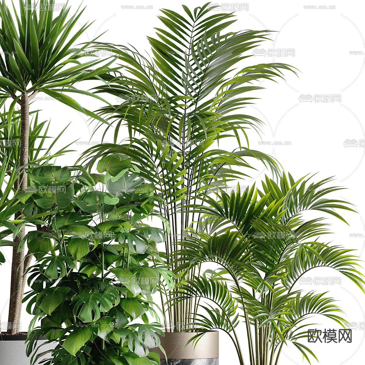 盆栽 盆景3d模型下载（渲染图2）