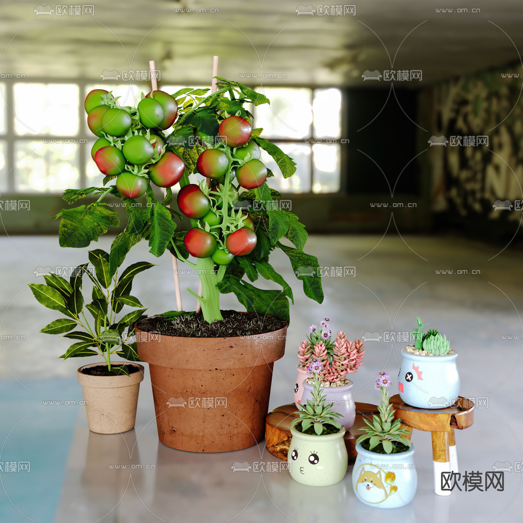 多肉盆栽 蔬菜果篮3d模型下载