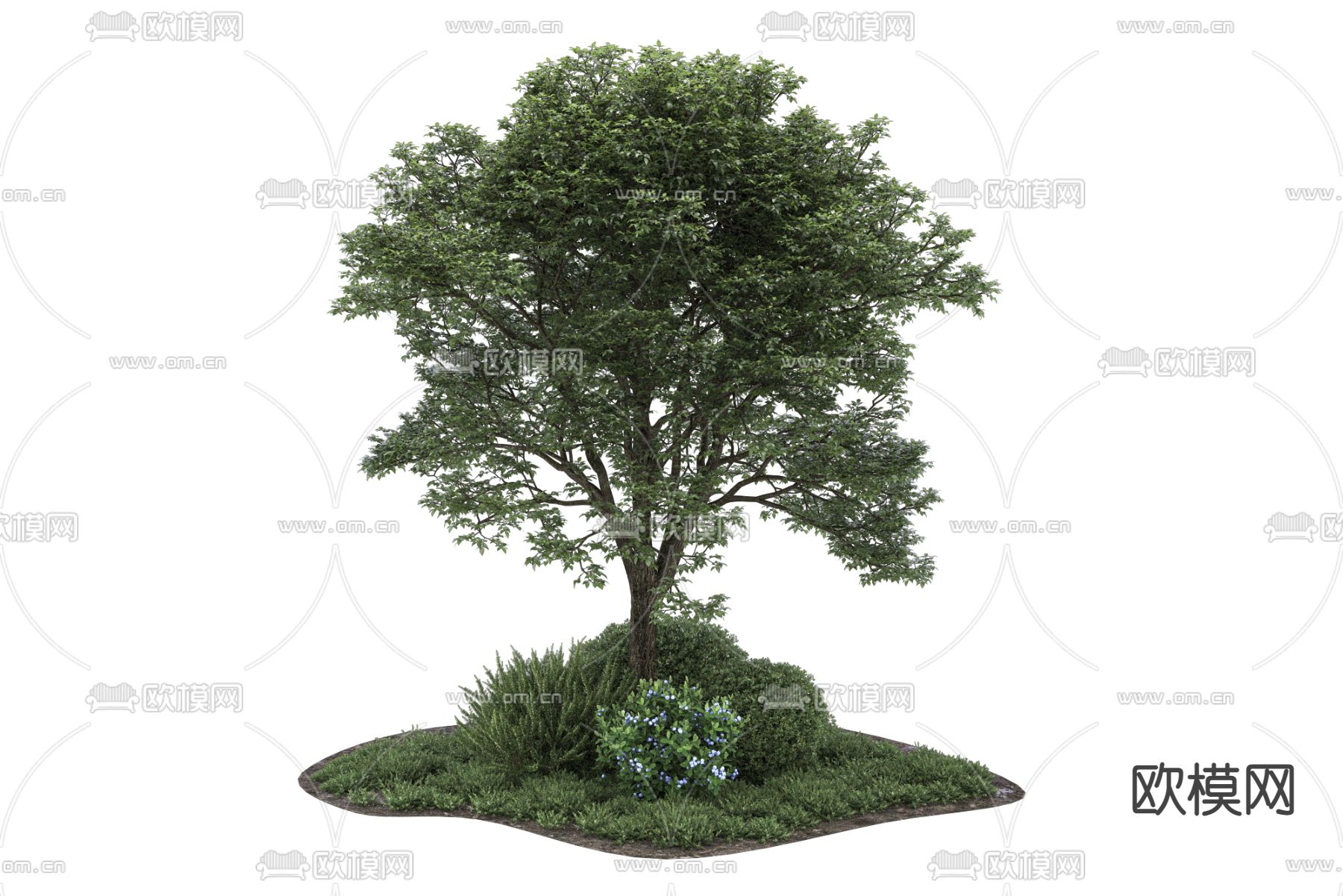 灌木  植物堆3d模型下载