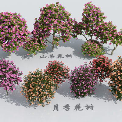  月季花 玫瑰花 蔷薇花su模型 