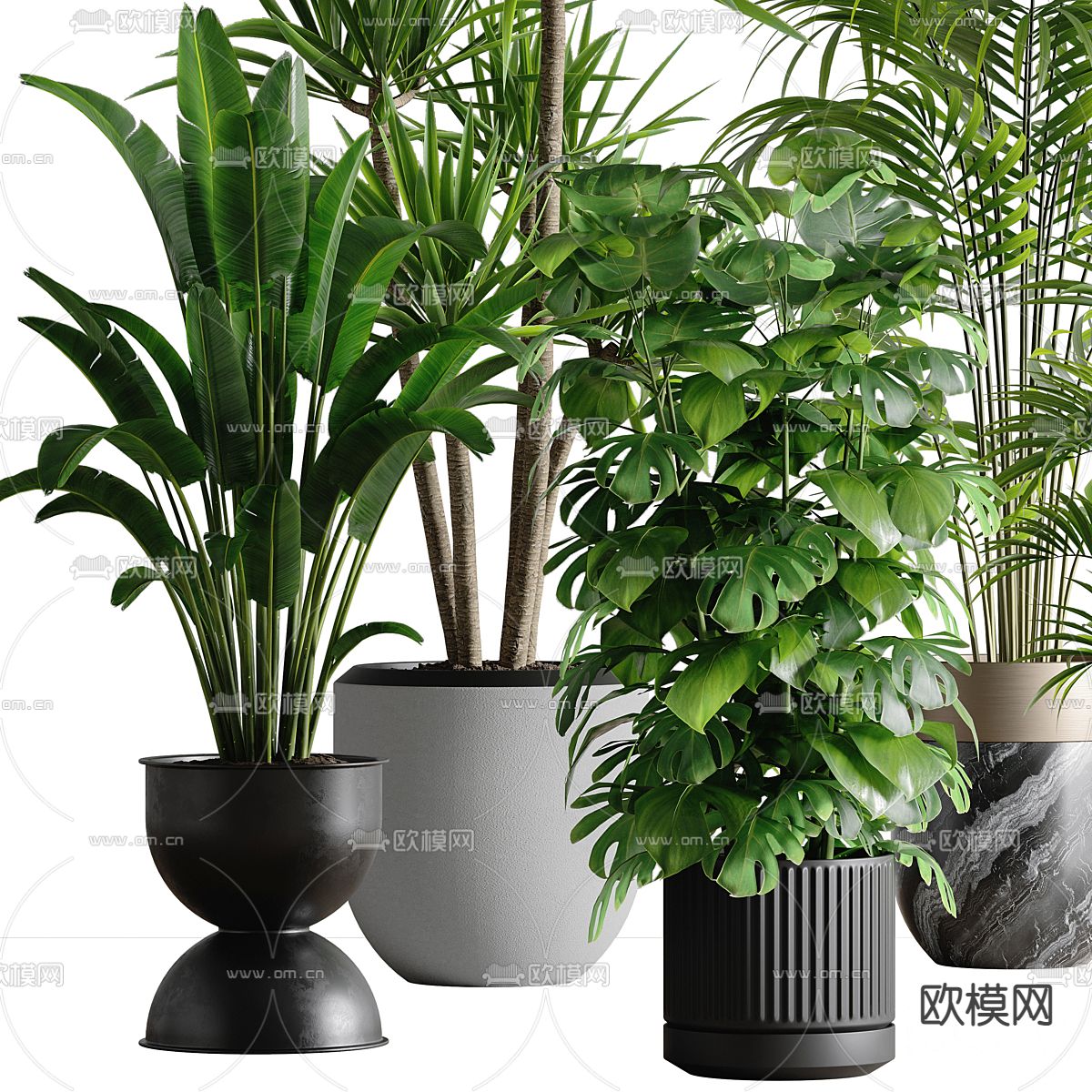 盆栽 盆景3d模型下载（渲染图4）