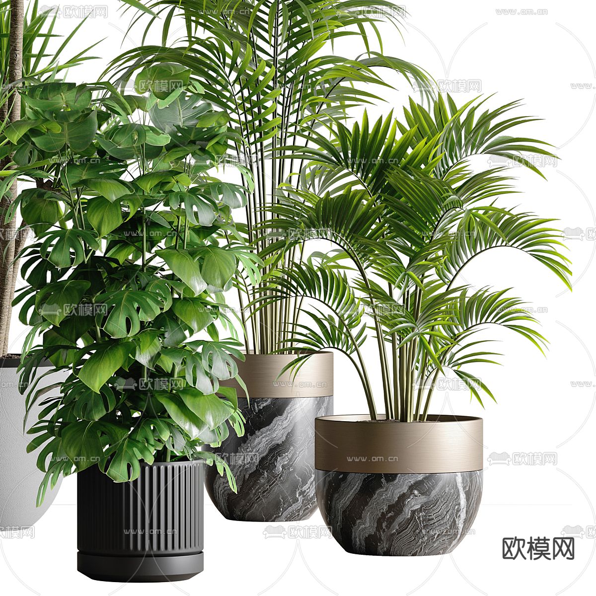 盆栽 盆景3d模型下载（渲染图3）