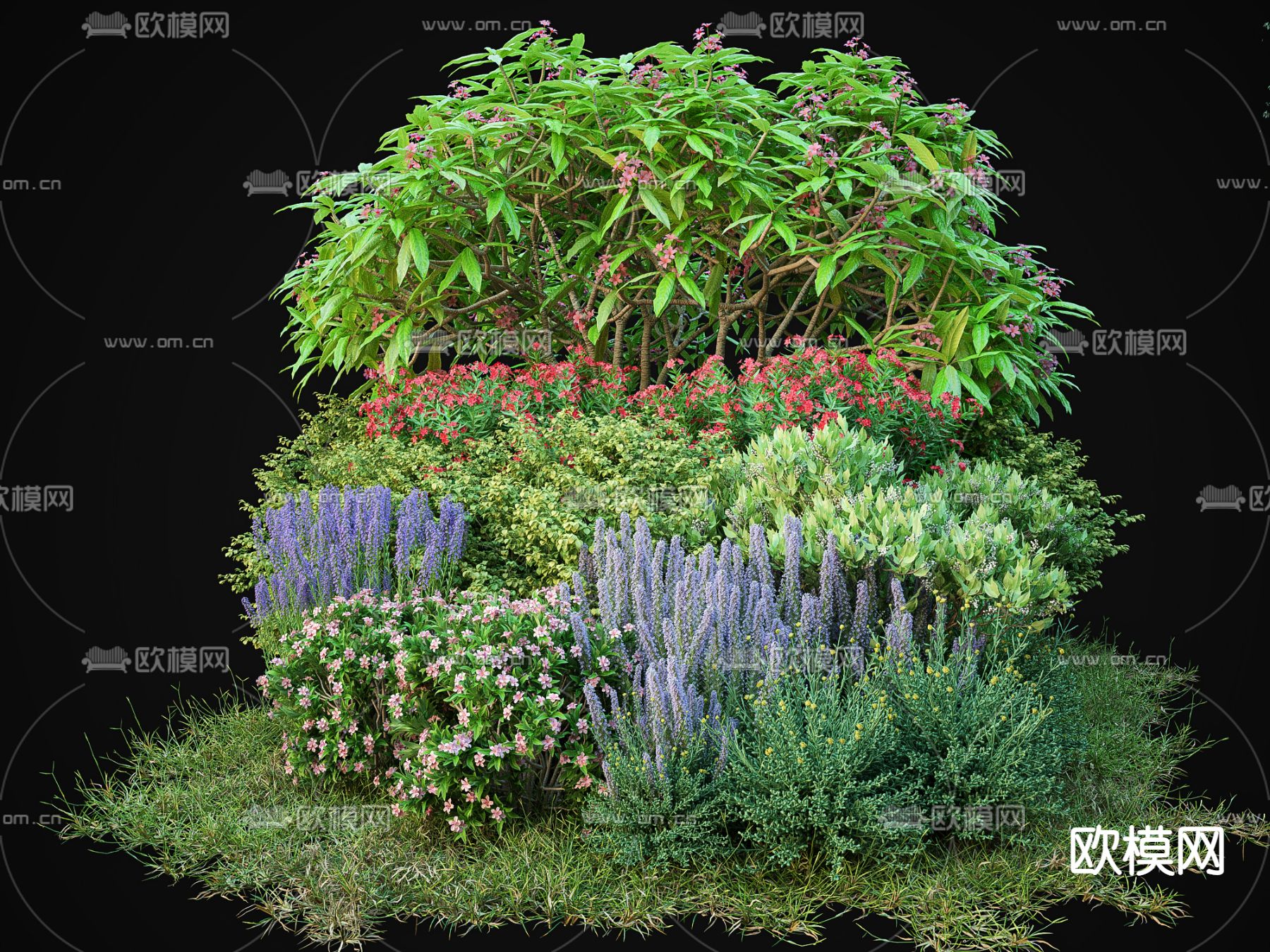 灌木 植物堆3d模型下载
