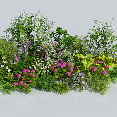  花卉花草 灌木su模型 