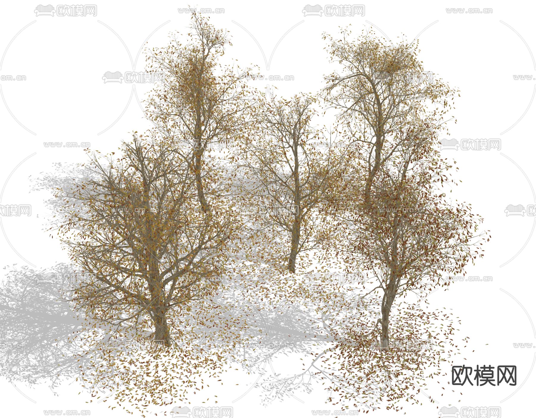 现代枯树 落叶su模型下载（渲染图2）